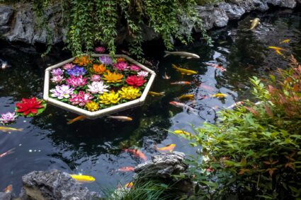 Discover How To Treat 8 Common Koi Fish Diseases